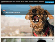 Tablet Screenshot of hobbymascotas.com